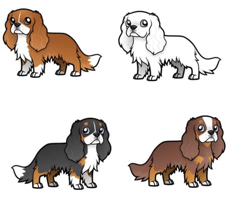 Cavalier King Charles Spaniel Drawing Free Download On Clipartmag