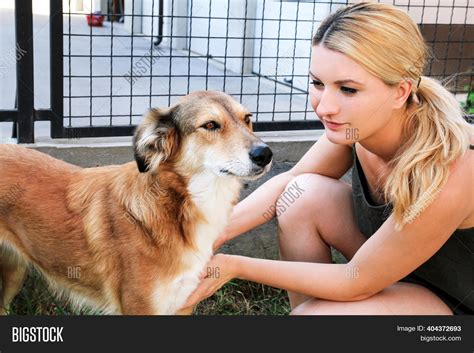 Owner Petting Dog Image And Photo Free Trial Bigstock