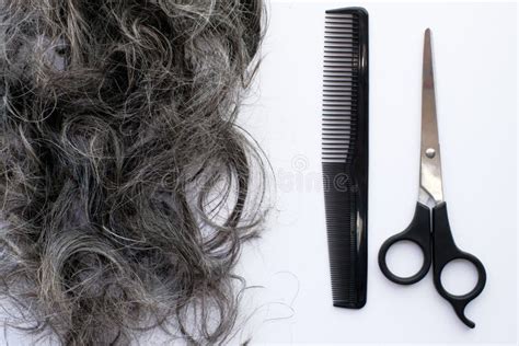 Freshly Cut Gray Hair Background Over White With Scissors And Comb