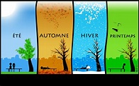 Vocabulary: The 4 seasons in French
