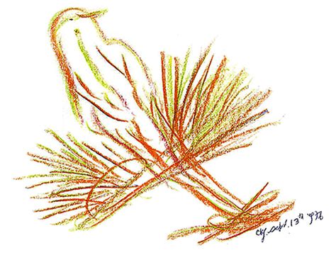 Early Bird Drawing 13 9 1976 30 Sri Chinmoy Art Daily Blog