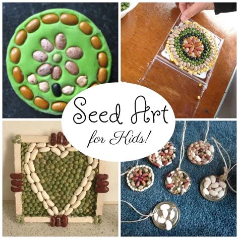 Seed Art Ideas For Kids How Wee Learn Seed Art Seed Art For Kids