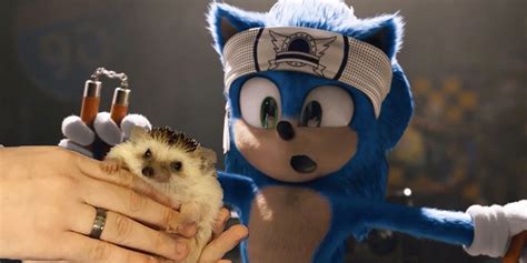 Guy Brings His Pet Hedgehog To See Sonic The Hedgehog