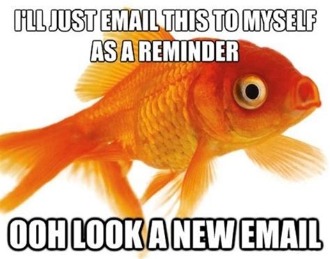 New Email Meme Bones Funny Funny Pictures Hilarious