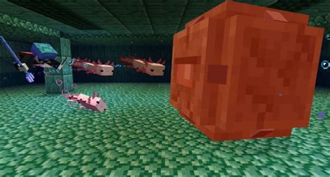 Axolotl Cave Minecraft