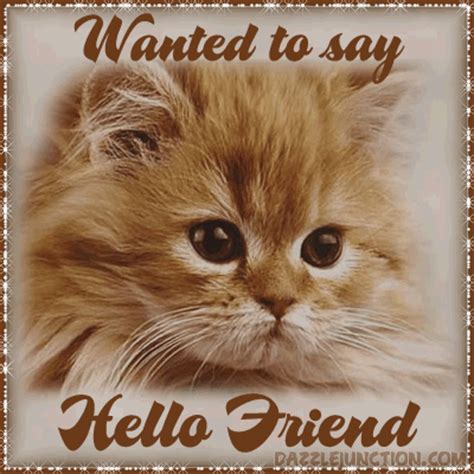 They also provide an opportunity. Cat Friendship Quotes. QuotesGram