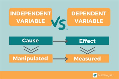 Dependent Variable Definition And Examples