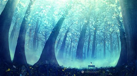 Alone In The Forest Hd Wallpaper Hintergrund 2560x1440 Id556062