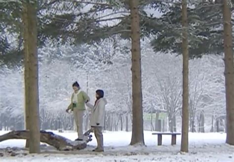 On the mention of this island everyone will link it to the drama series winter sonata, which irks thanks to zarina from budgettravel2korea, who detailed ways to get to nami island, we got there by taking a shuttle bus from tapgol park in. Namiseom Island/Nami Island 남이섬 종합휴양지 - Korean Dramaland
