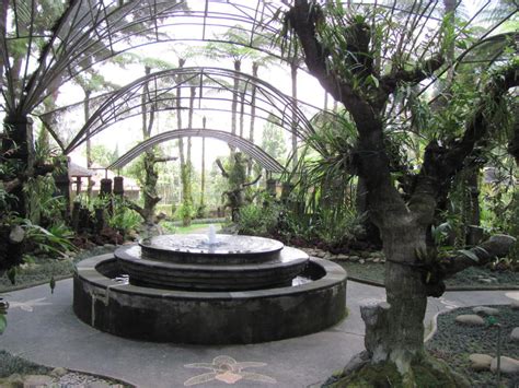 Wann er wieder eröffnet wird ist noch unklar. Botanischer Garten auf Bali - Bedugul - Baumkunde Forum