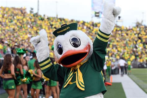 Oregon Ducks Football Mascot Oregon Ducks Latest Crazy Football