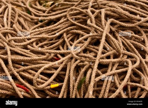 Coiled Jumble Of Rope Stock Photo Alamy