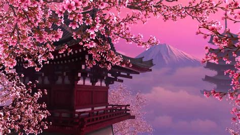 Japanese Cherry Blossom Wallpapers Wallpaper Cave