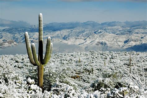 Frozen Desert Snow In Arizona Arizona Wedding Venues Arizona Landscape
