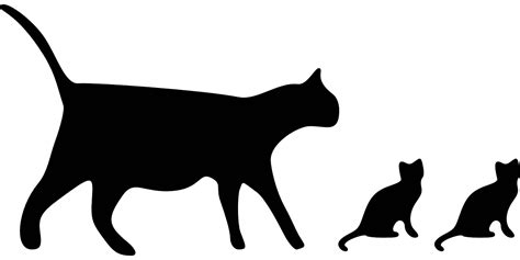 cats silhouette black free vector graphic on pixabay