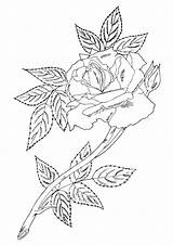 Rose Coloring Single Leaves Pages Printable A4 Color Flowers Parentune Worksheets Print sketch template