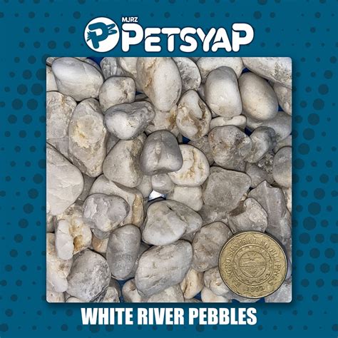 White River Pebbles Substrate 1 Kilo Shopee Philippines