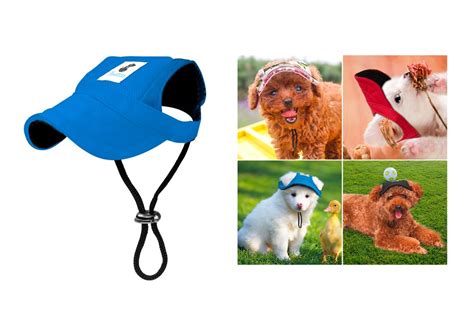 Top 10 Best Hats For Dogs Of 2022 Review Best Pet Pro
