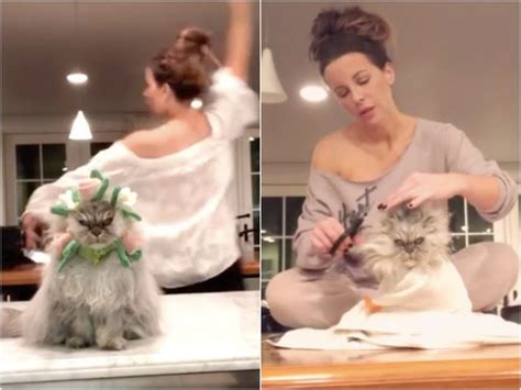Kate Beckinsales Cat Steals The Show In Her Instagram Videos
