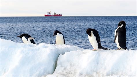Antarctica Temperature Hit 635 Degrees Sets New Record High Temperature