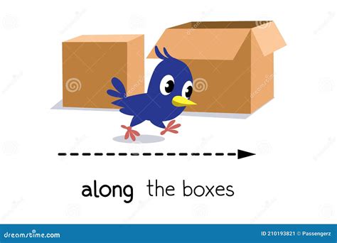 Preposition Of Movement Bird Walks Along The Box Cartoon Vector