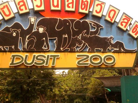 It Opens To The Public In 1938 Dusit Zoo Is The Oldest Zoo In Bangkok