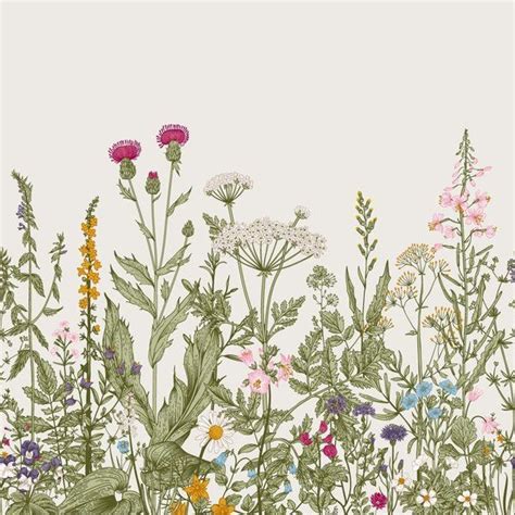 Vintage Engraved Wildflower Border Wall Mural Murals Your Way