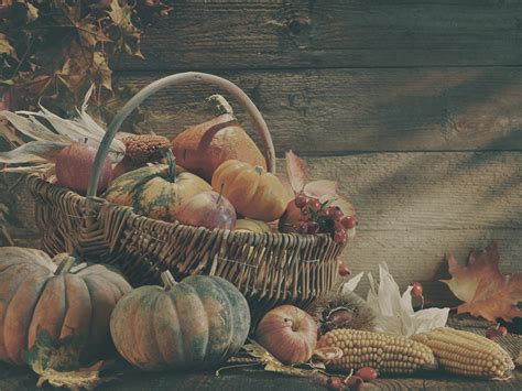 The Symbols and Colors of Thanksgiving With Their Meaning