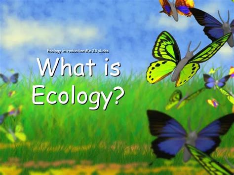 Ppt Ecology Introduction Me 23 Slides What Is Ecology Powerpoint