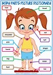 Body Parts ESL Printable Picture Dictionary For Kids