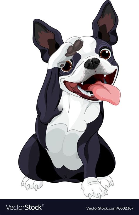 Illustration Of Boston Terrier Saluting Download A Free Preview Or