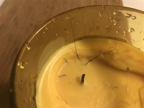 I Have Always Had A Severe Phobia Of Opiliones Today I Noticed My Favorite Candle R Entomology