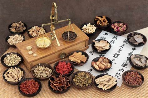 Médecine Traditionnelle Chinoise Principes Fonctionnement