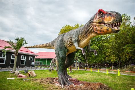Canadas Only Drive Thru Dinosaur Park Cottage Country Lifestyle