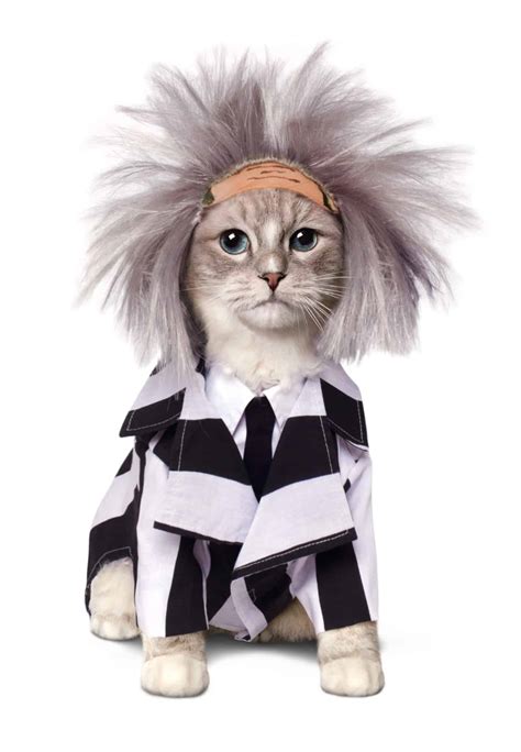 Cat Costumes Pet Costume Center