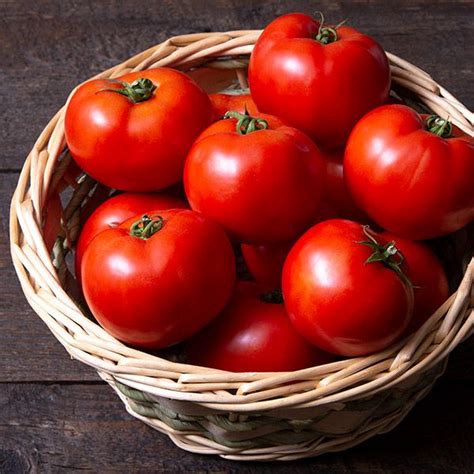 Organic Non Gmo Mountain Merit F1 Tomato