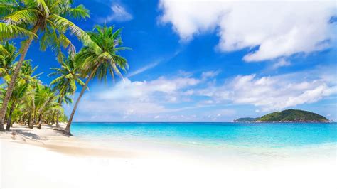 Wallpaper Id 178650 Isle Shore Holidays Palm Clouds Sea Palm