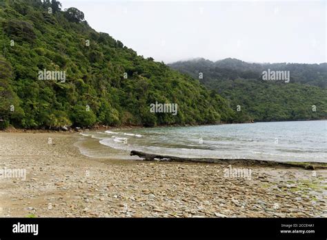 Ship Cove In Queen Charlotte Sound New Zealand Stock Photo Alamy