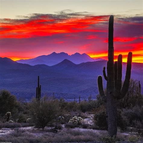 Desert tan rock brings a richness to everyday landscape needs. Desert sunset | Arizona landscape, Arizona sunset, Desert ...