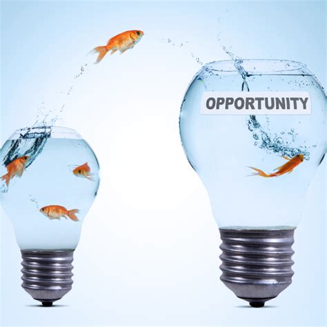 How To Identify New Business Opportunities