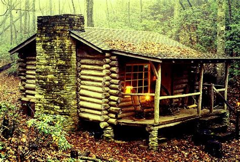 Property has both a cabin and an artist studio. The Flying Tortoise: He Built A Beautiful Little Rustic ...