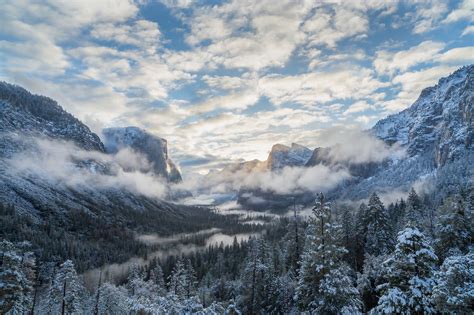Snow Covered Mountain And Pine Trees Wallpaper Yosemite National Park