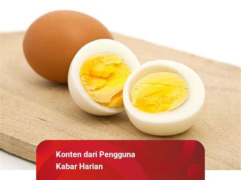 Kalori Bagi Telur Rebus Joshua Hart