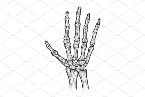 Human Hand Skeleton Sketch Vector In 2020 Human Hand How To Draw