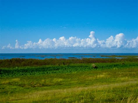 Maybe you would like to learn more about one of these? Hiking Lake Okeechobee | biking camping birding | Florida ...