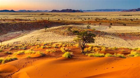 Mountains Namibia Dunes Savannah Nature Plants Landscape Desert