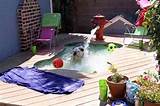 Dog Swimming Pool