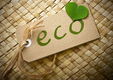 Some Of The Top Ways You Can Be More Eco Friendly Sheeba Magazine
