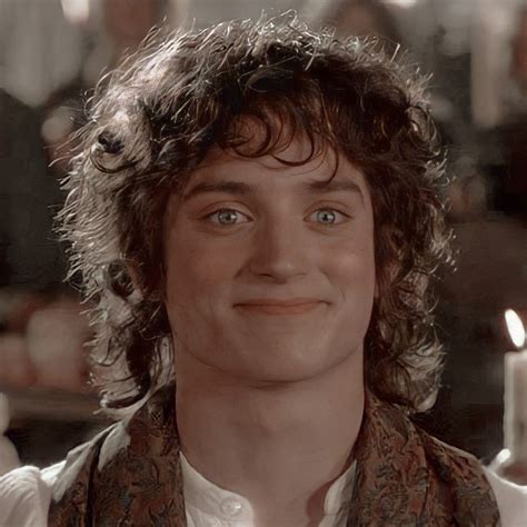 Frodo Icon In 2021 Frodo Baggins Frodo Lotr