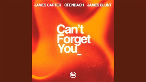 Cant Forget You Feat James Blunt Youtube Music